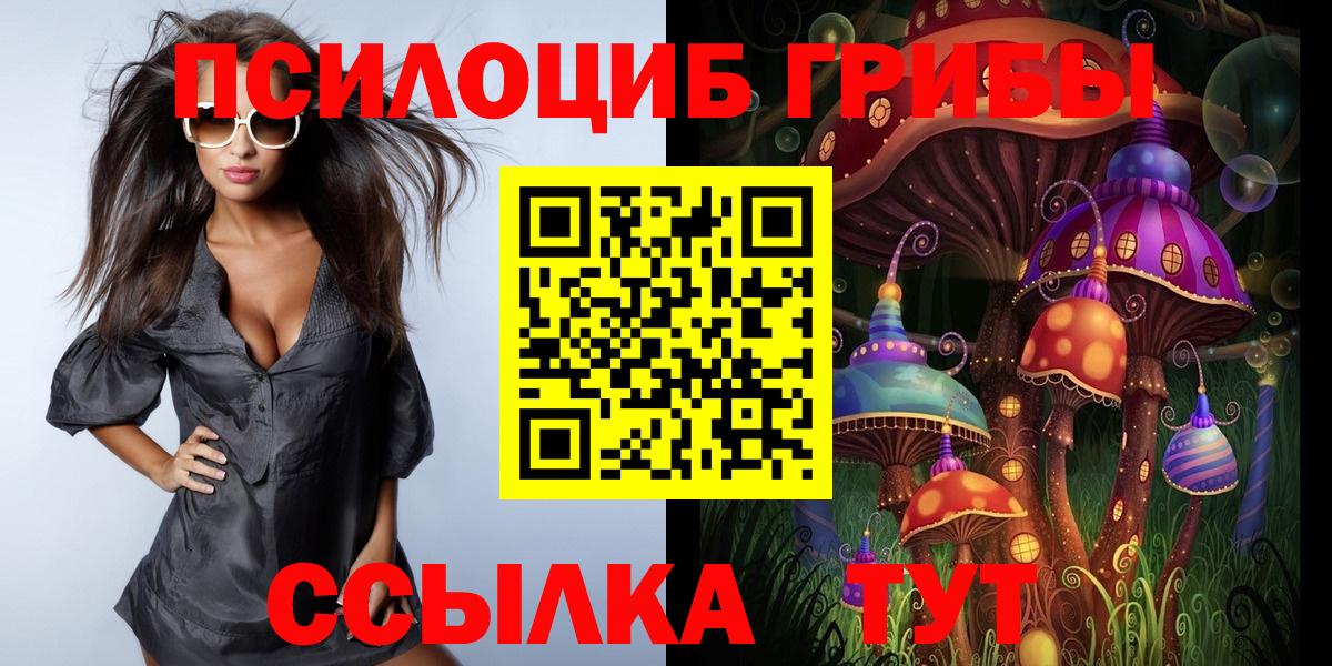 Псилоцибиновые грибы GOLDEN TEACHER Новороссийск